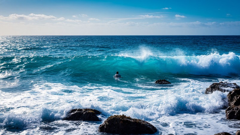 Учёные предупредили о критическом закислении океанов